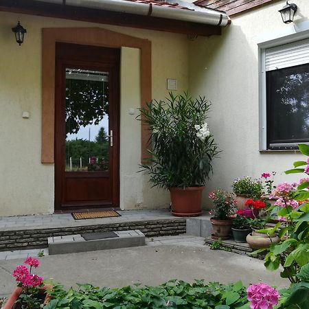 Vargapartman Szeged Ngoại thất bức ảnh