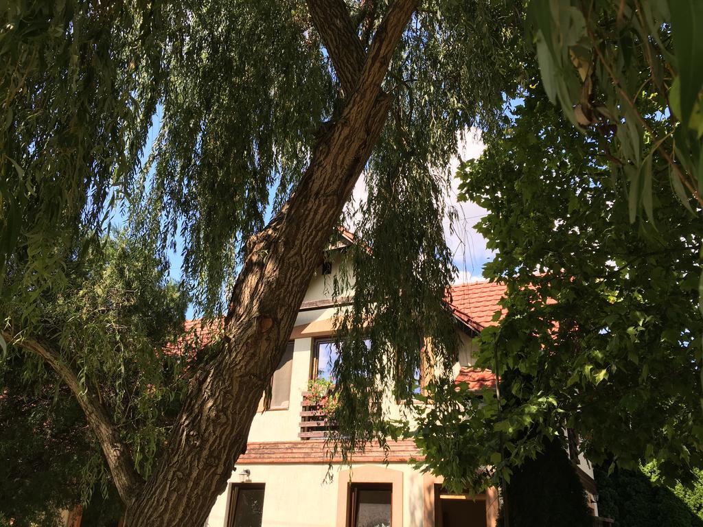 Vargapartman Szeged Ngoại thất bức ảnh